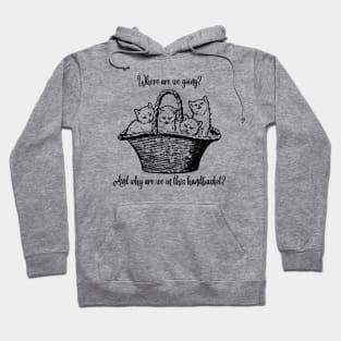 Handbasket - Kittens Hoodie